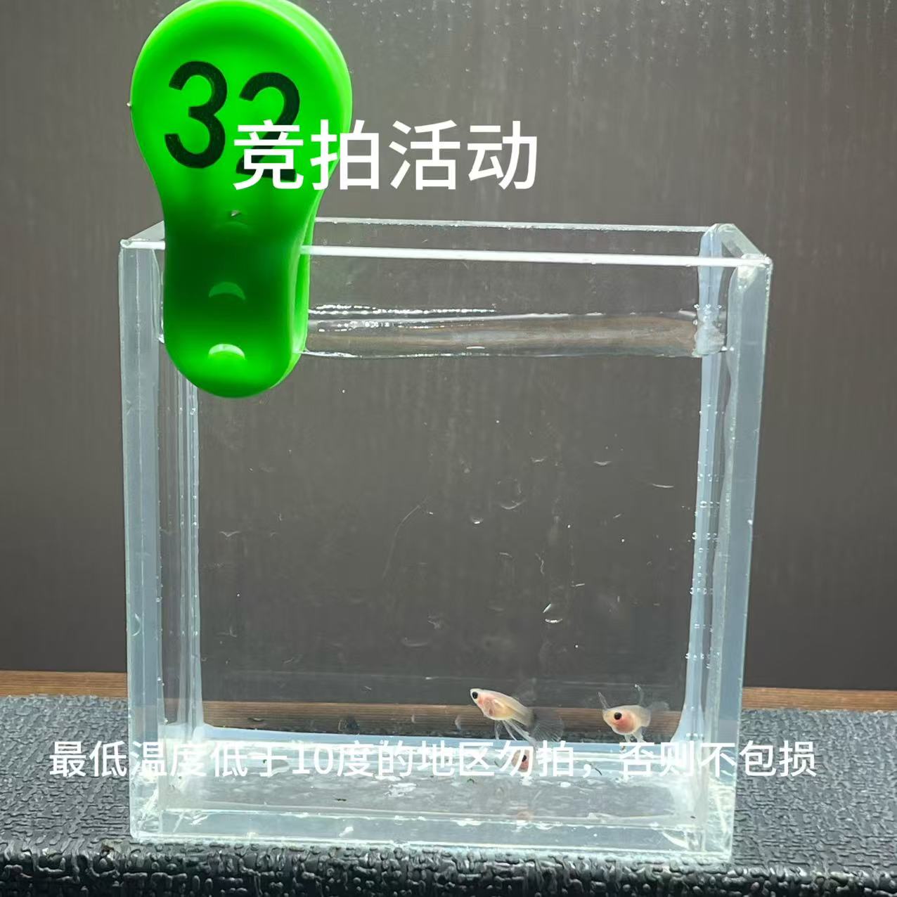 超透蓝礼服三条长公编号32