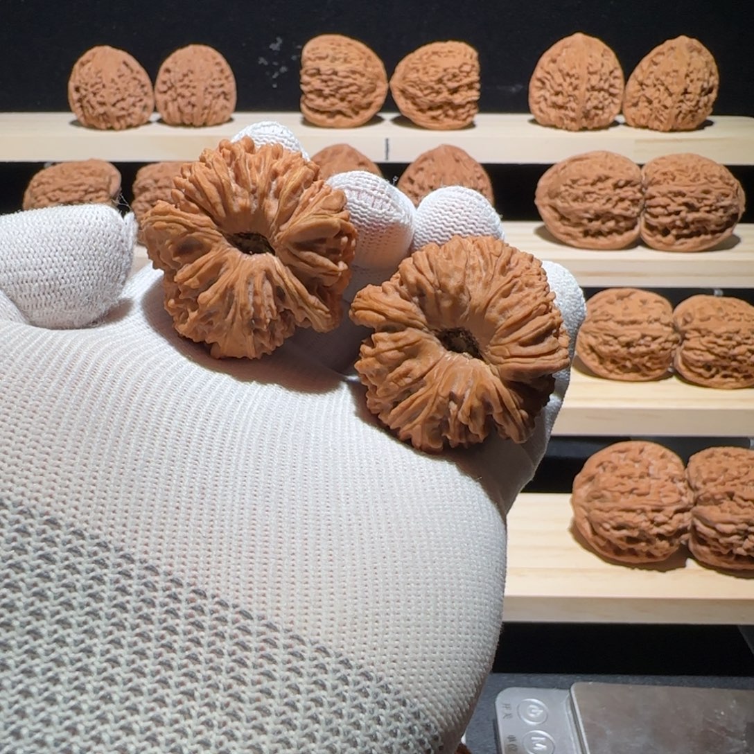 东***号吊坠文玩核桃40窝头钩子