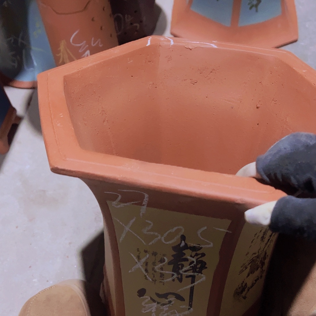 紫砂19……………………………………