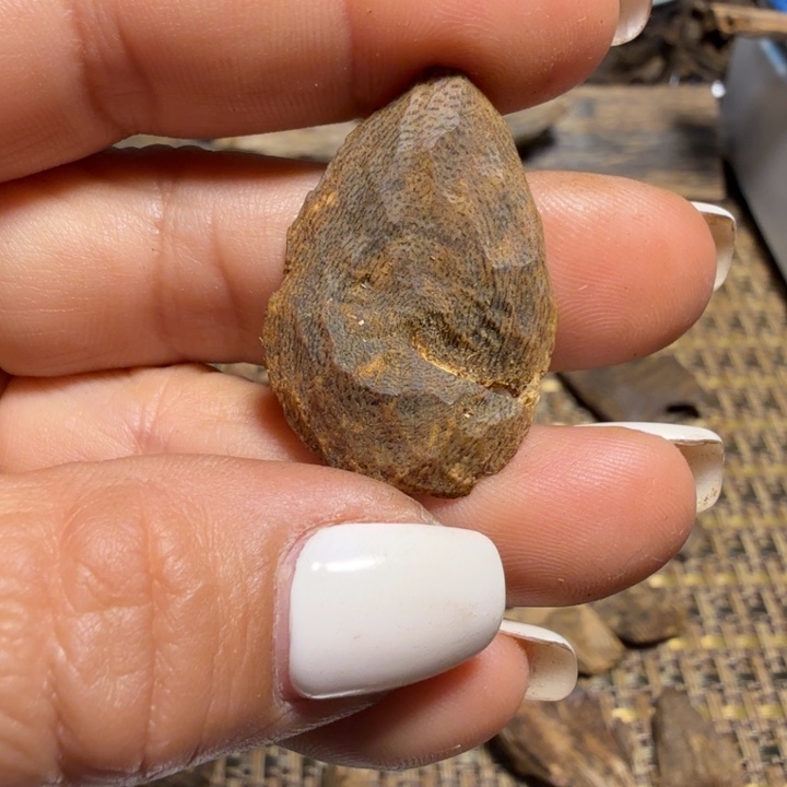 㞮***孞香榧木奇楠原材料壳子多样性发1️⃣