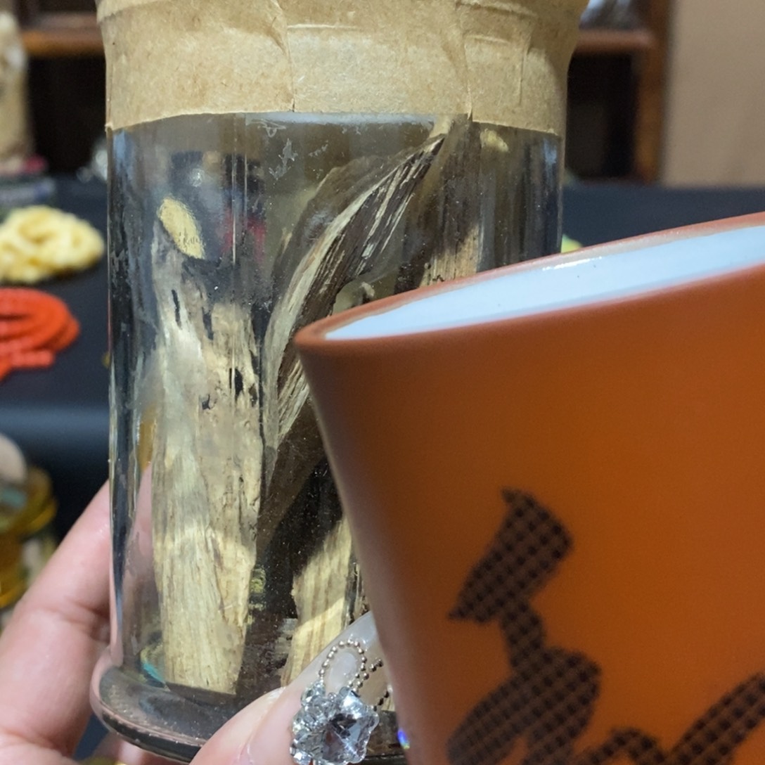 瓷片嗨彼此彼此彼此彼此啊