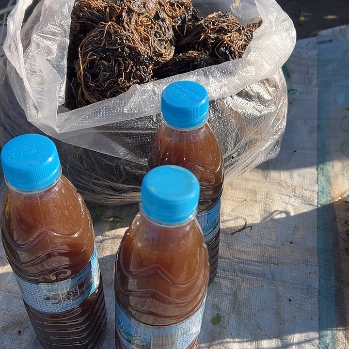 云南傣家腌菜膏1瓶