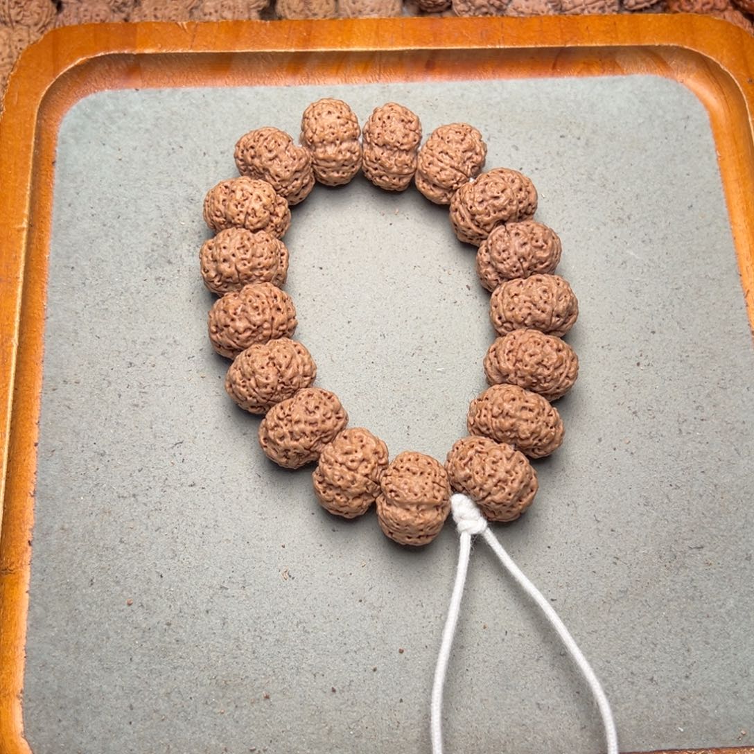 菩提11号金刚菩提蜂王夹板21