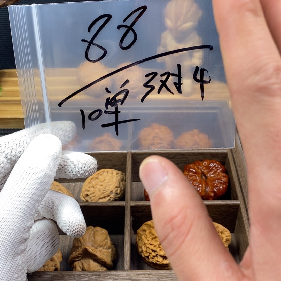 核桃等经济林果的食物都