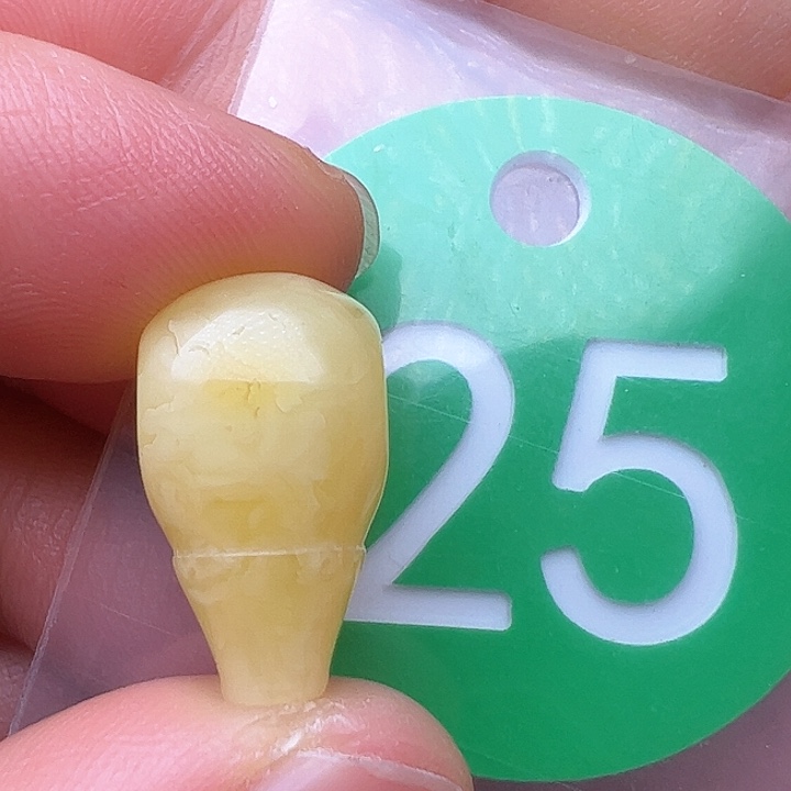 蜜蜡裸石未镶嵌10m m