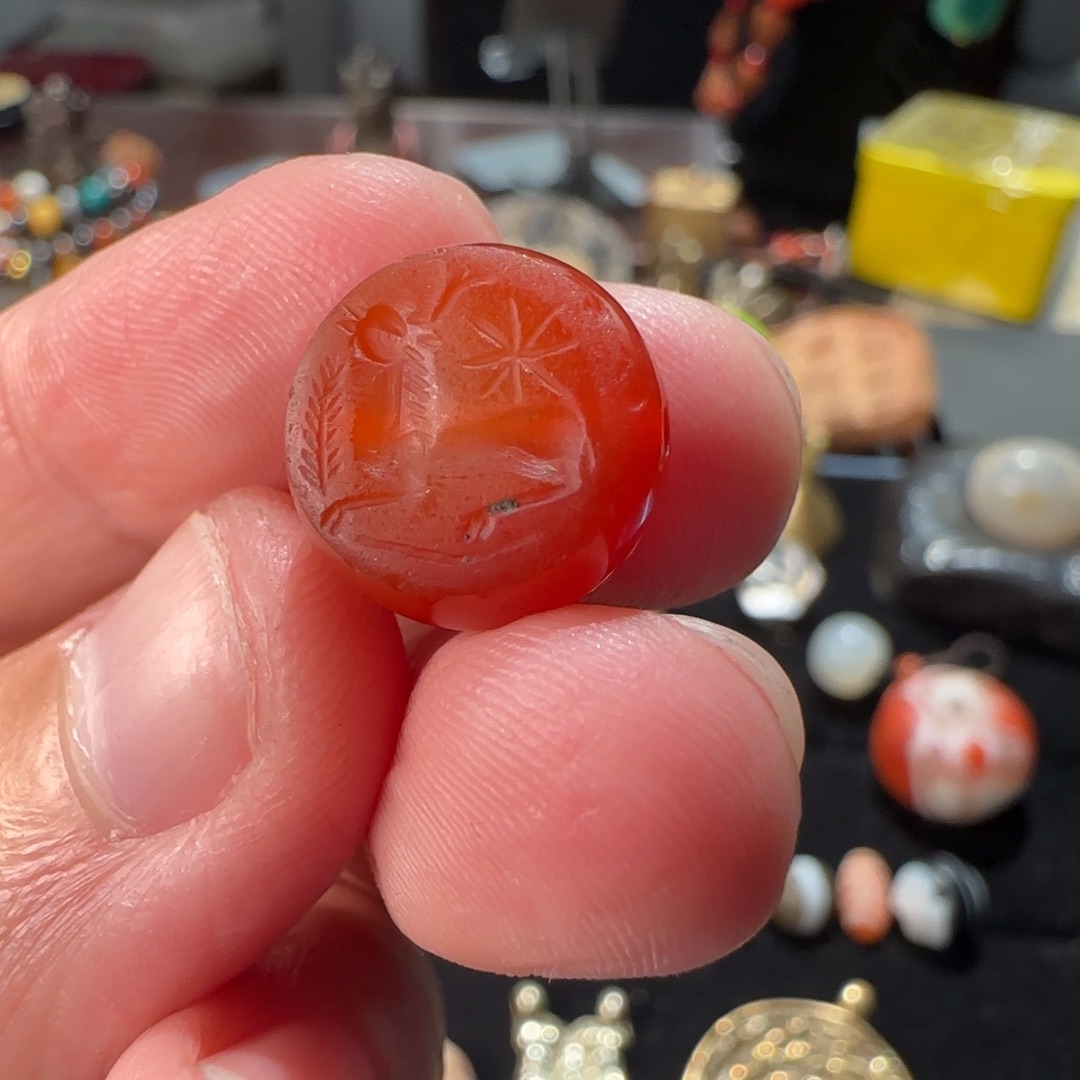 *****磁石秘书专属zzzzzzzzzzzzz