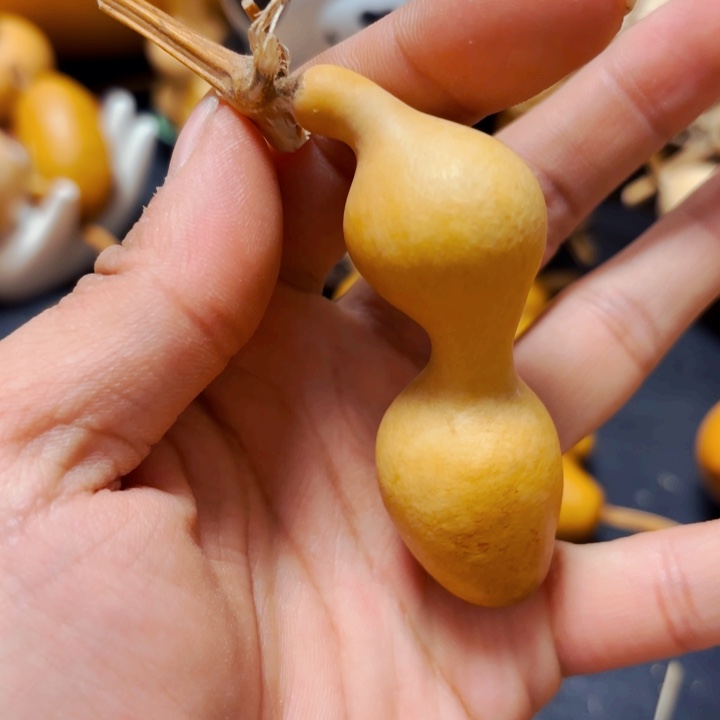 雷*8888888888888888888