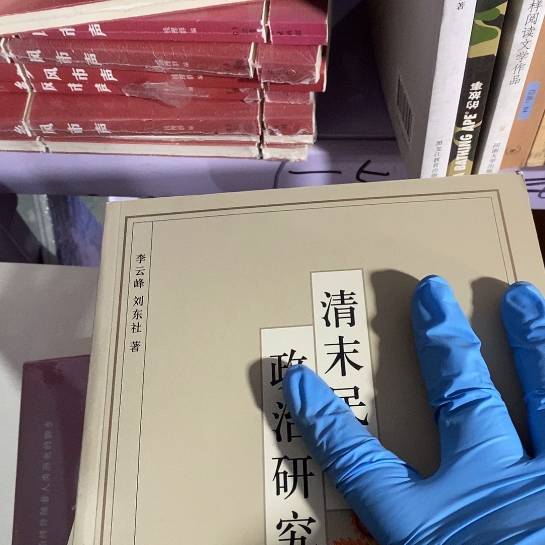 清什么政治研究……  