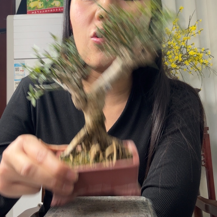 理***想盆里一块糖都吃了