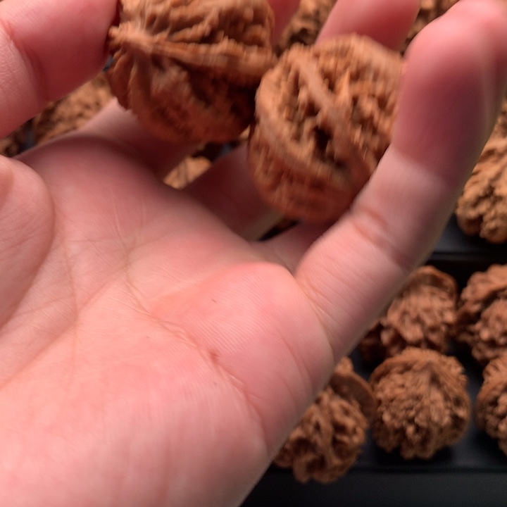 其他核桃J****茶秦岭的森林里有