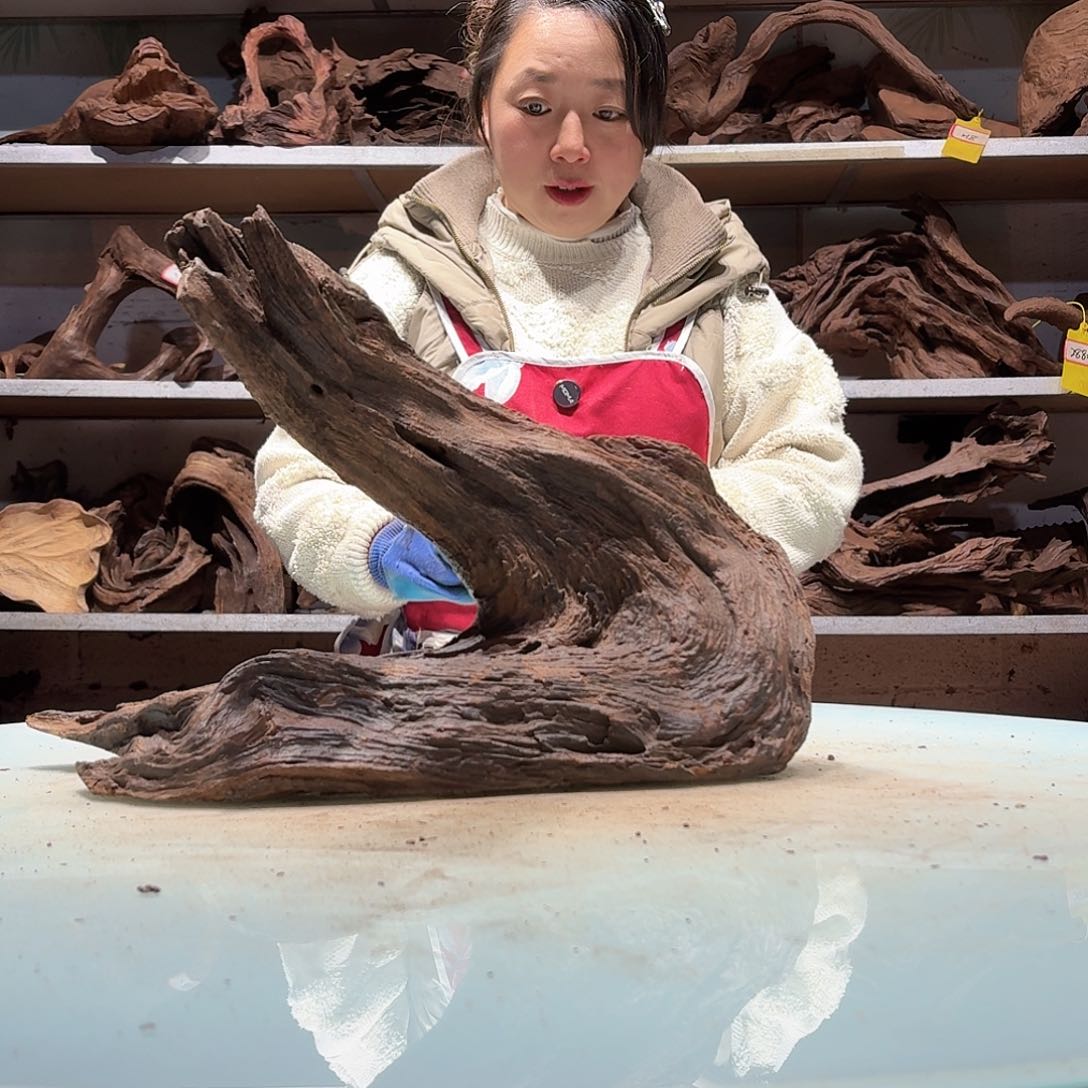 倍诸沉木不包损必褪色成****适6686