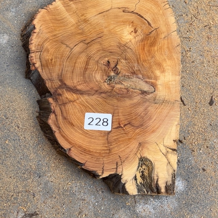 柏木南太行崖柏切片大片