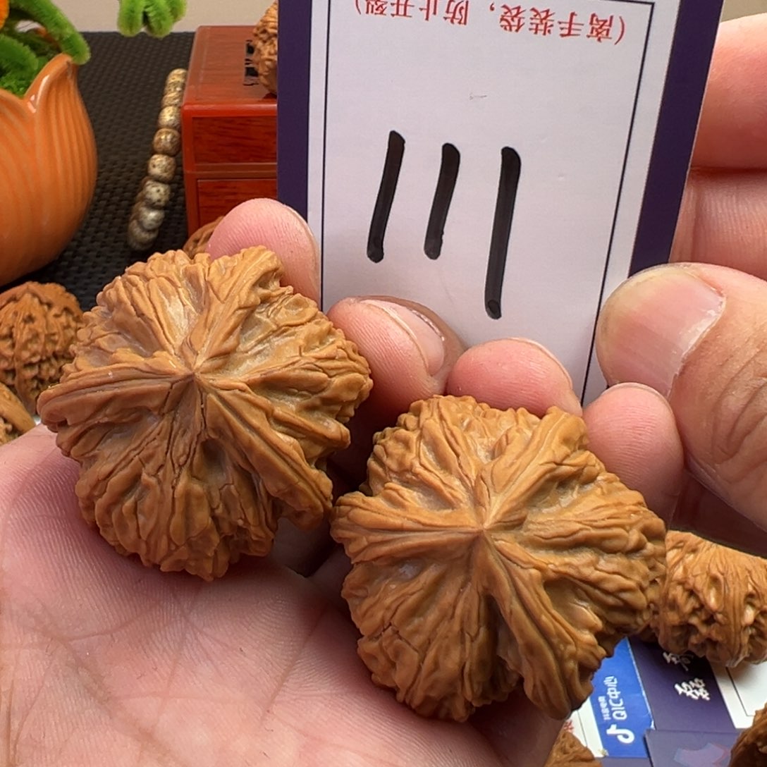 文玩核桃把件全品御龙粗筋三棱38尺寸111号