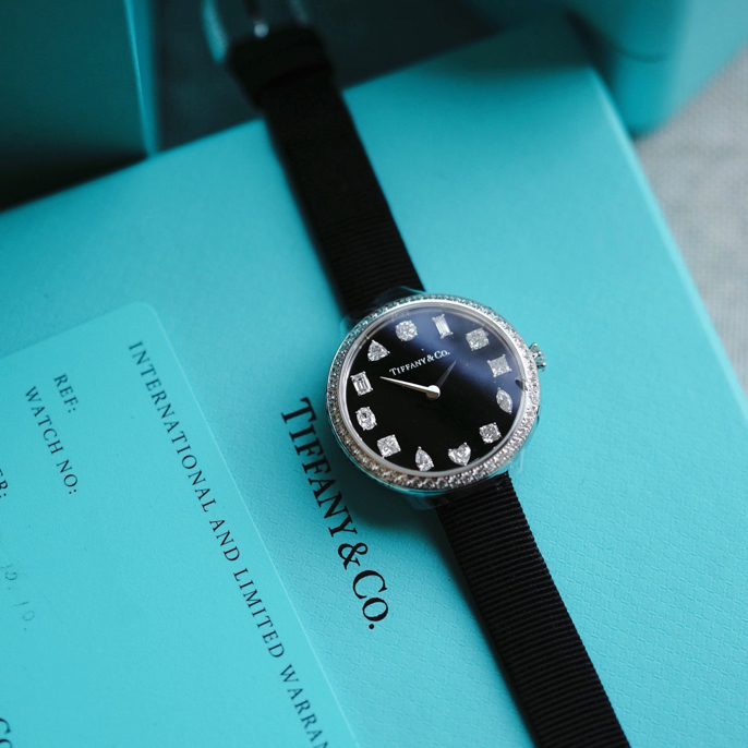 99新 Tiffany & Co./蒂芙尼 型号 69643353 23年全套