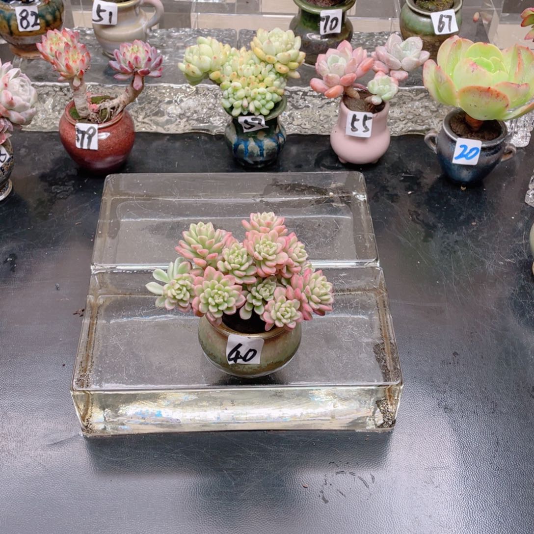 无铅玻璃刚***?花器花器花器花器