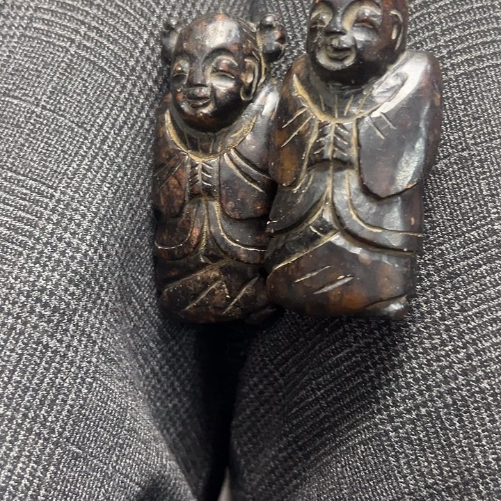 照***亮杂色豆（科檀/科特迪瓦檀木）