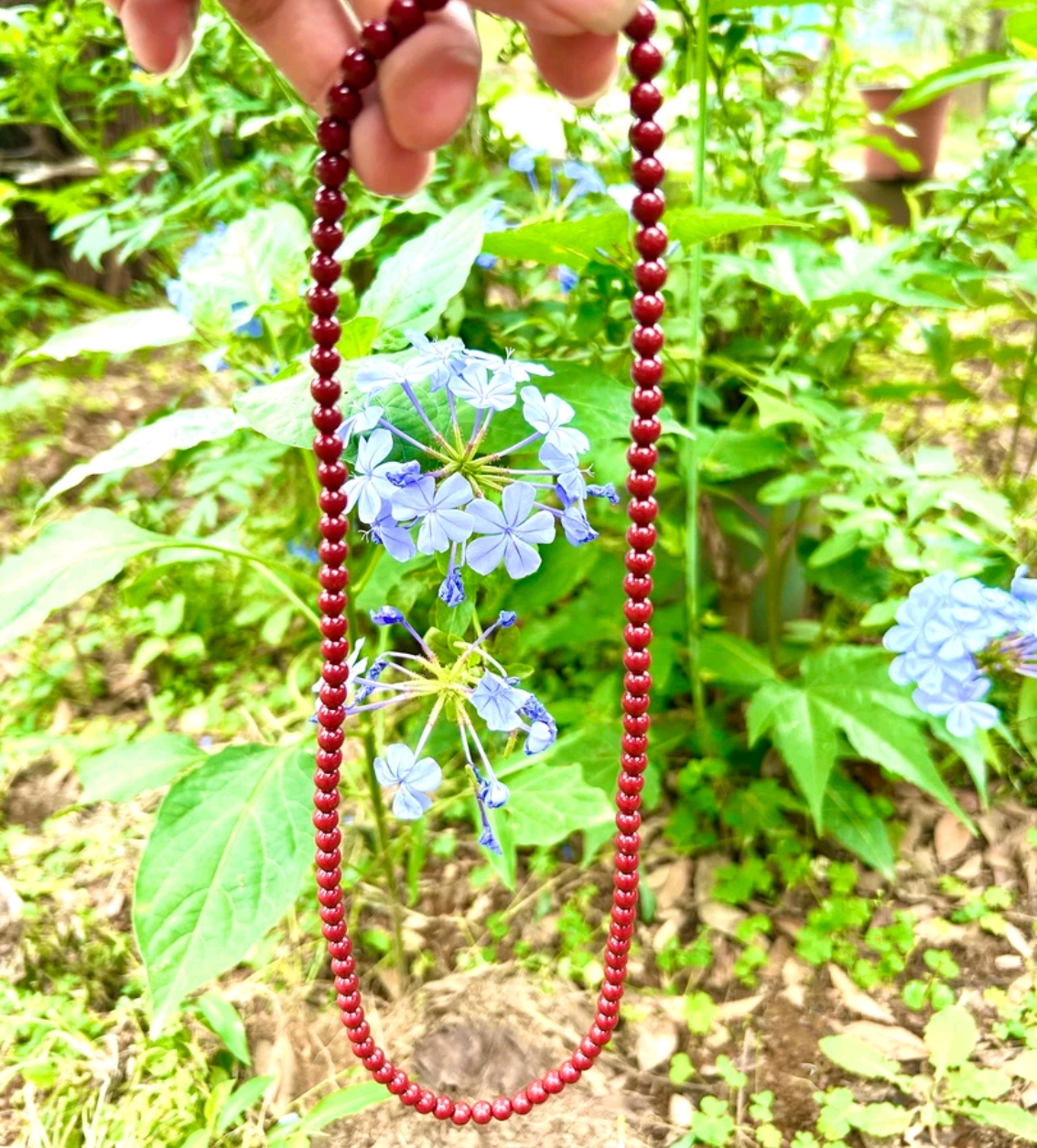 小宇专属农家 临时链接  非香菇