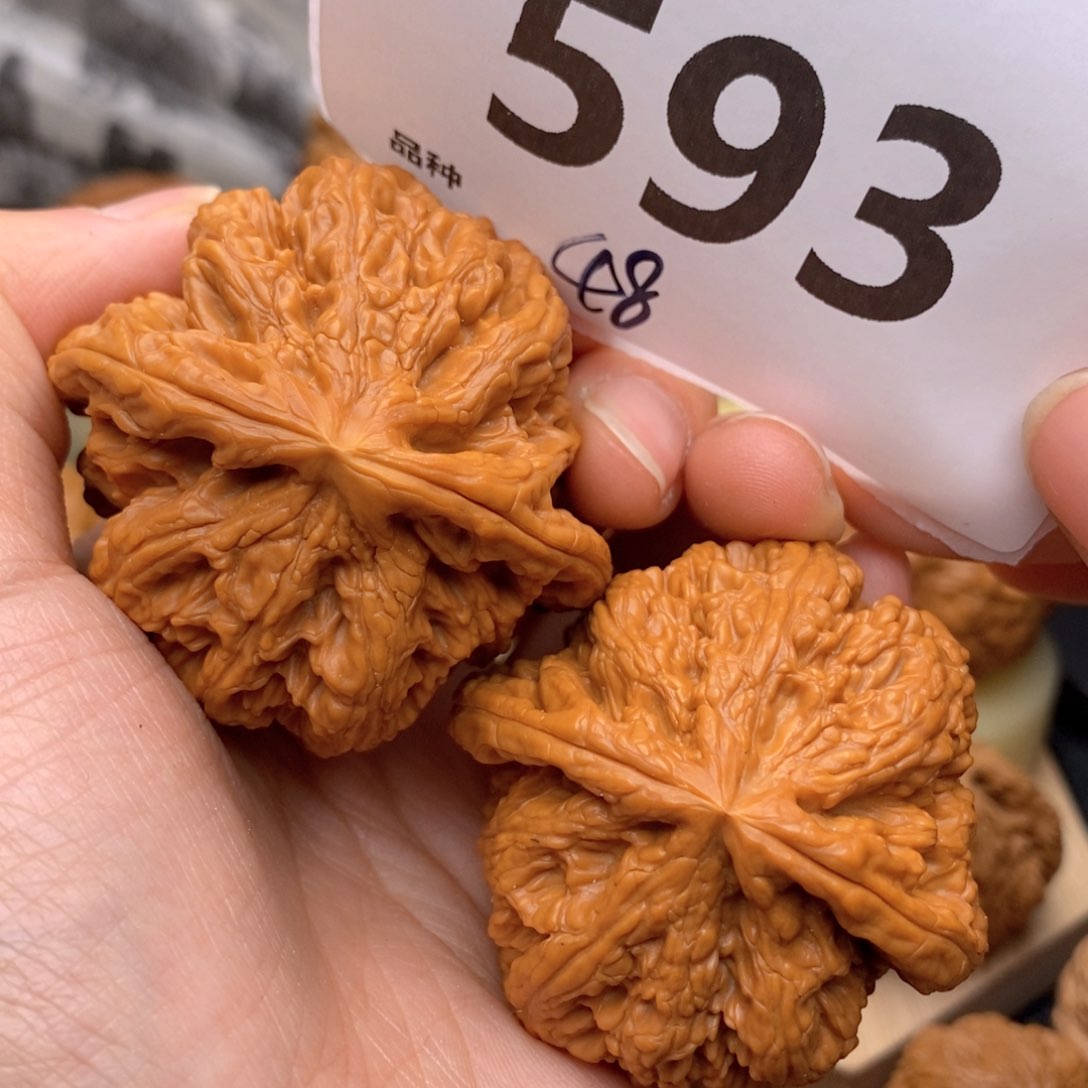 文玩核桃把件593号48粗筋