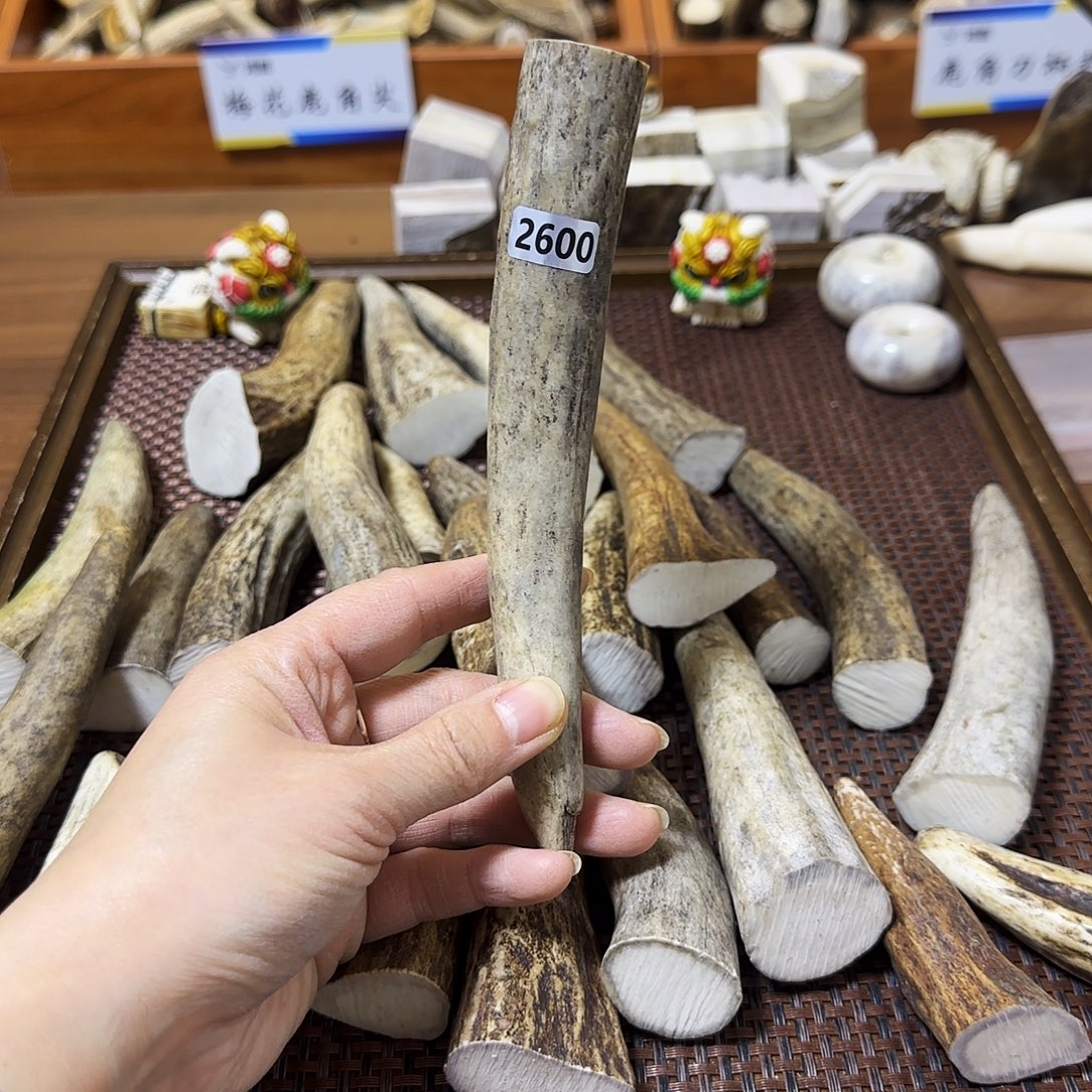 手串/手链鹿骨2600角尖