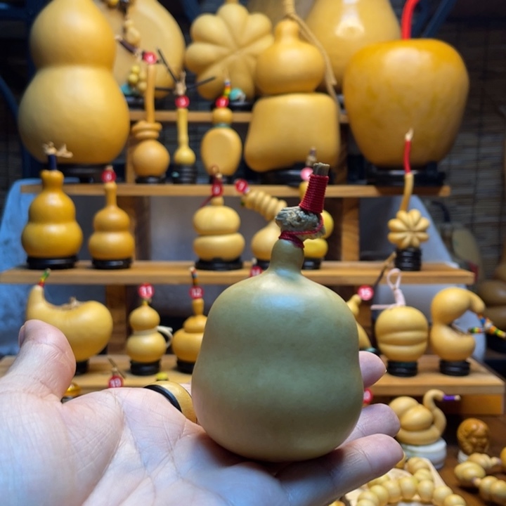 *****天然葫芦自然生长