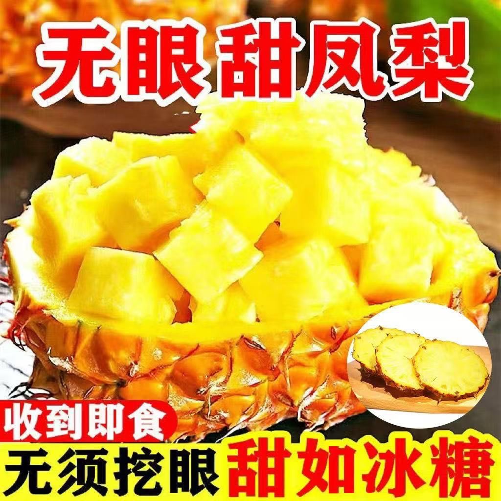 【海南直发】海南金钻凤梨17号现采现发热带水果香水凤梨
