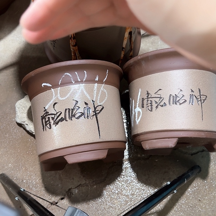 紫砂花盆破损包赔