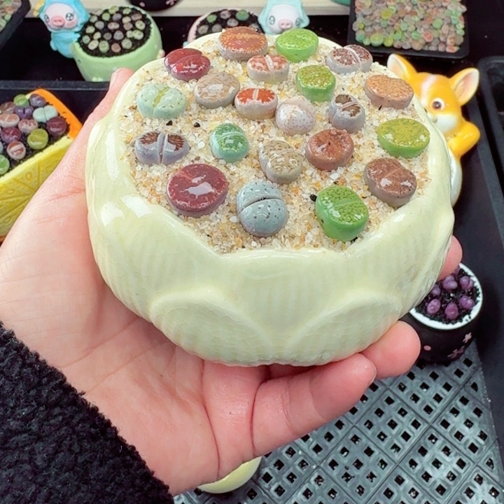 520零下地区记得拍保温箱