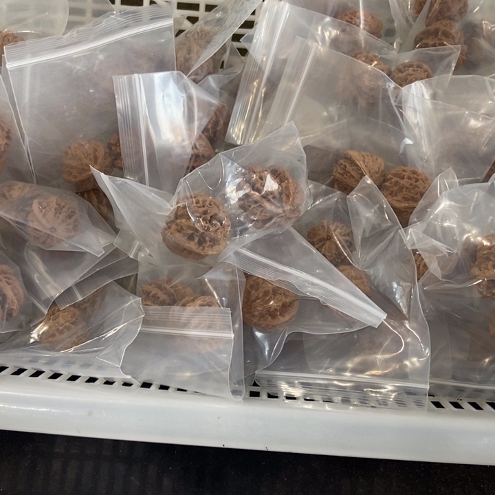 吊坠文玩核桃三棱瑕疵