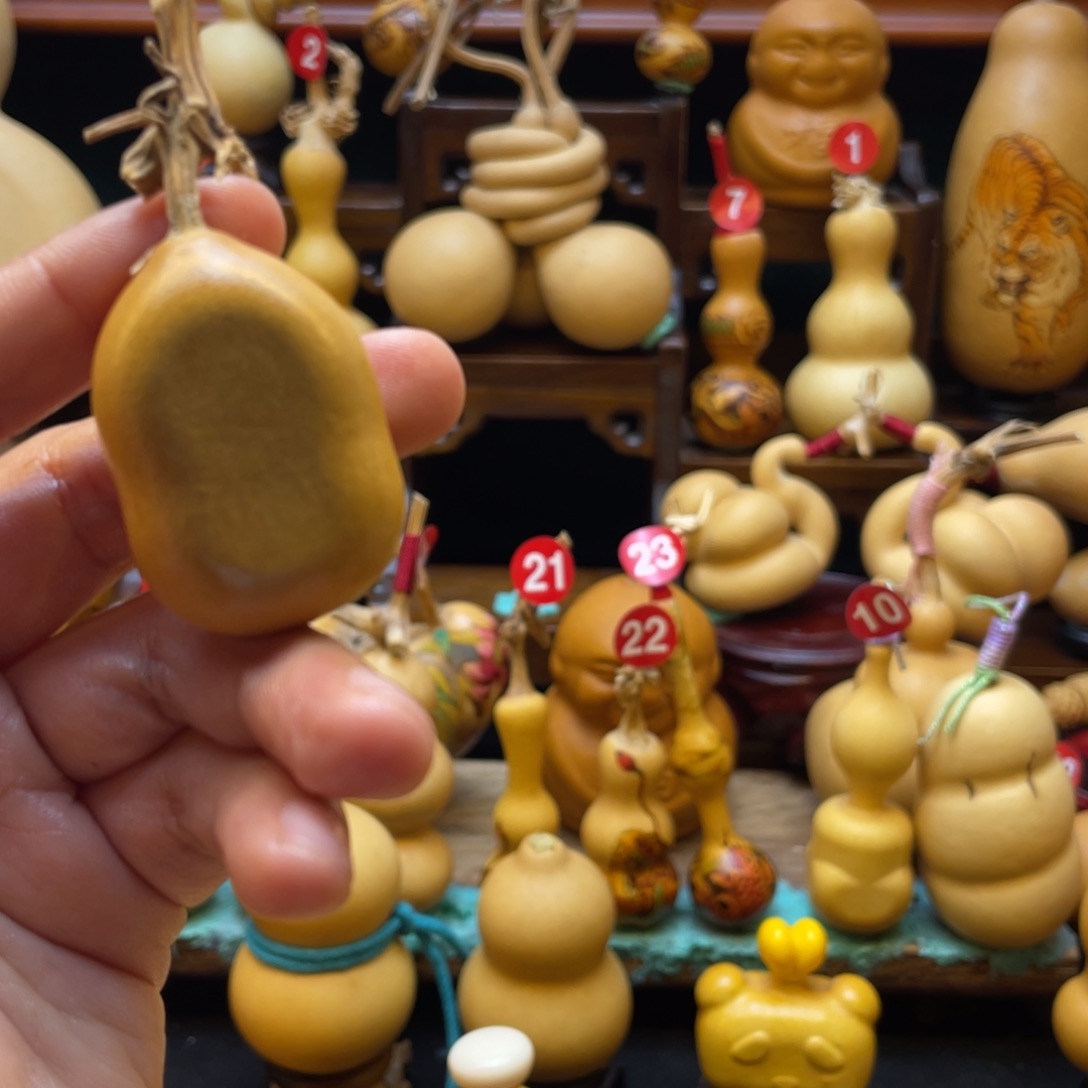 伊*葫芦等经济林木的分布情况及