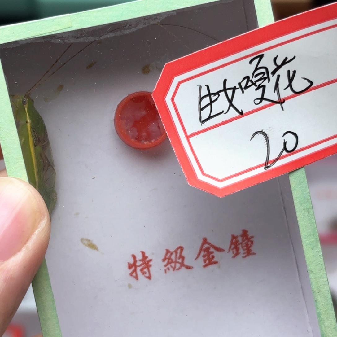 哈哈哈哈哈哈哈哈哈