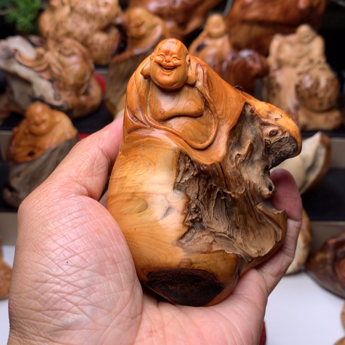 【闪购商品】柏木（崖柏）崖柏