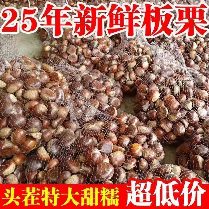 5斤装新鲜现摘高山板栗清脆甘甜可糖炒蒸煮的生板栗