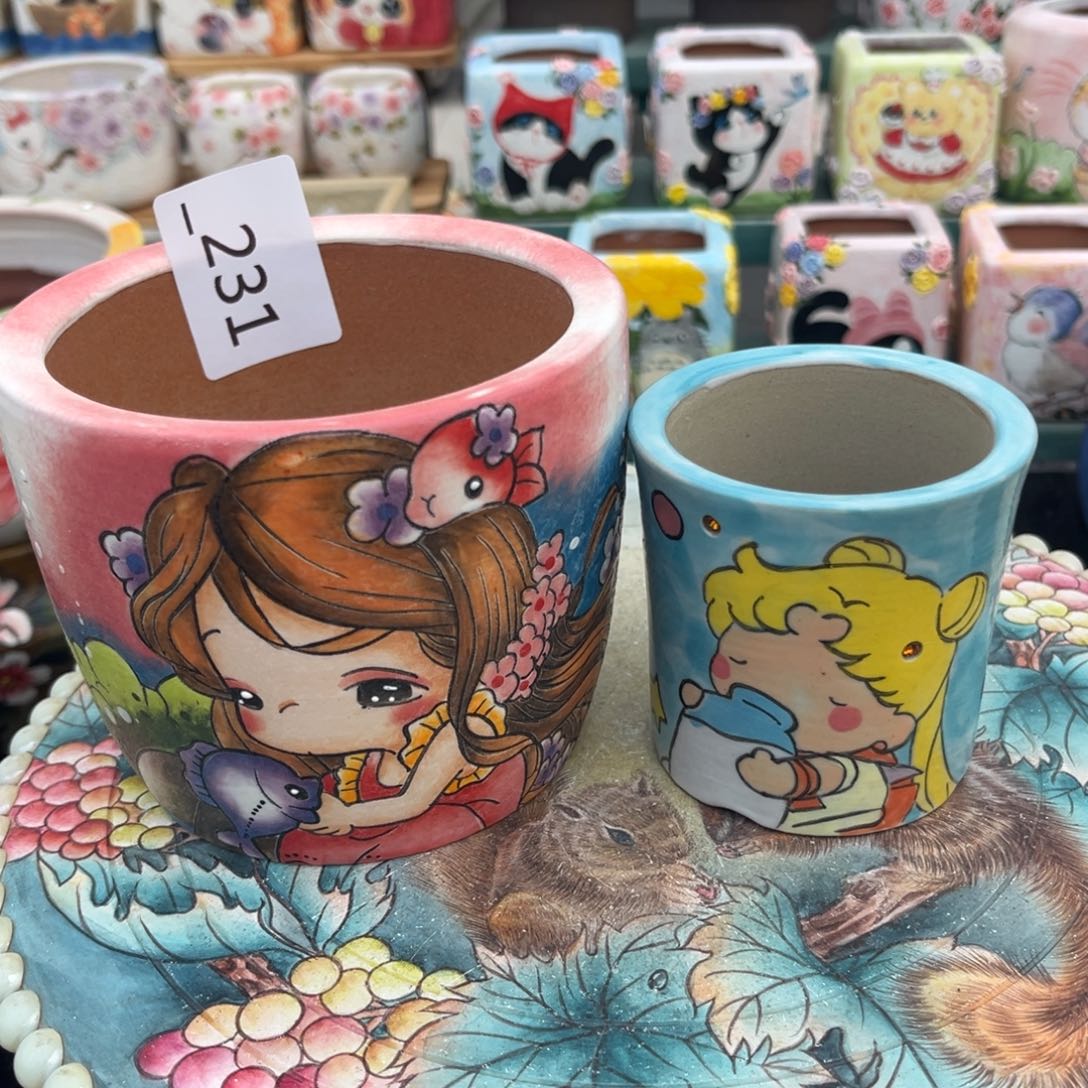 *****231多肉花盆78元1送1