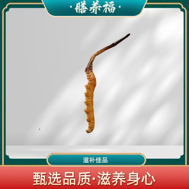 （嘉嘉专属）西藏冬虫夏草干货    
