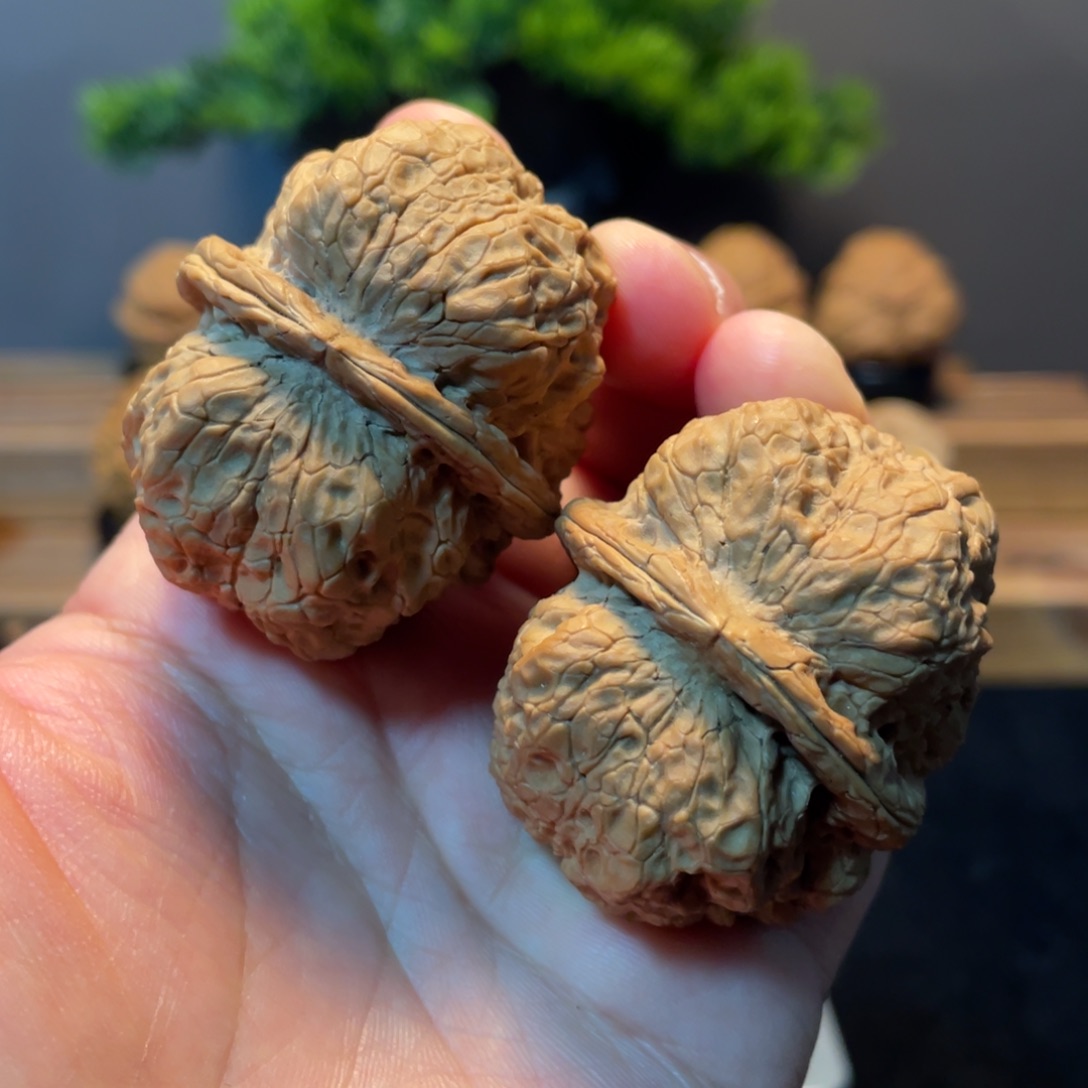 把件文玩核桃云南铁8