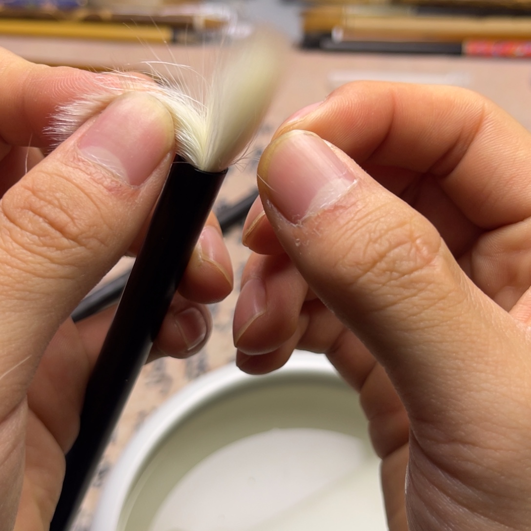 单支百分百纯羊毫直播福利