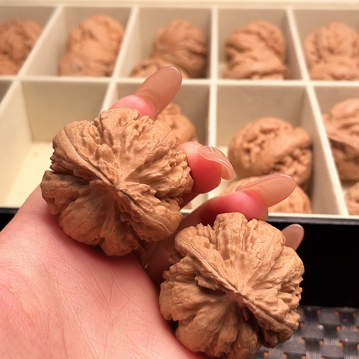 灵***灬霸王龙核桃尺寸40+