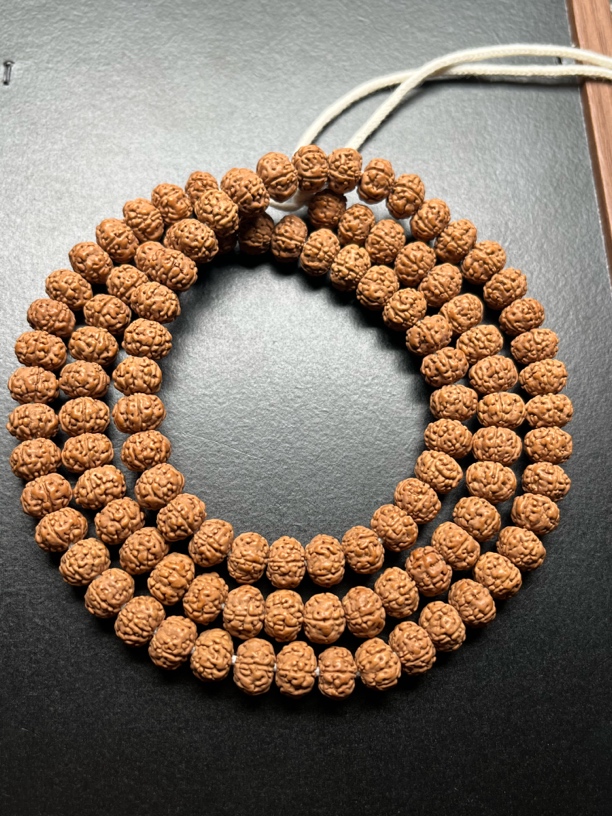 树王金刚菩提子高油矮桩