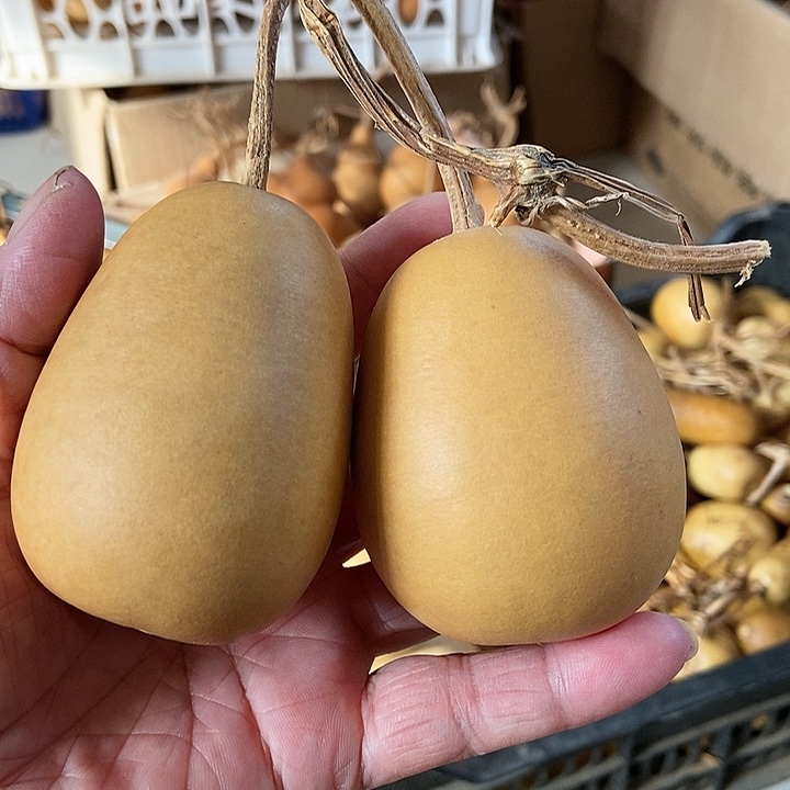 d yo p g f d yi fu