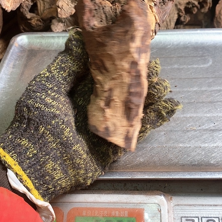 花梨木类梦**兰海南黄花梨