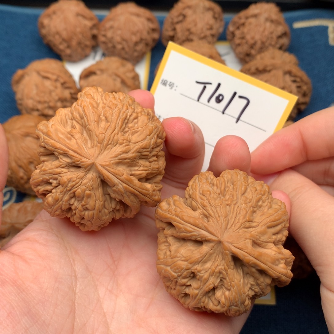 把件文玩核桃47粗筋 1017