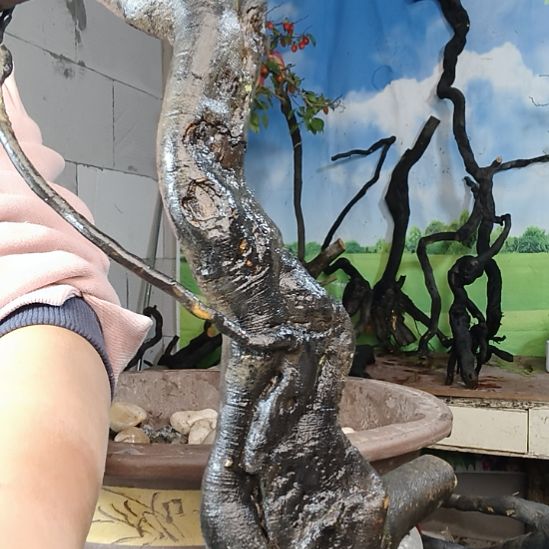 无花朵一个一个一个一个一个