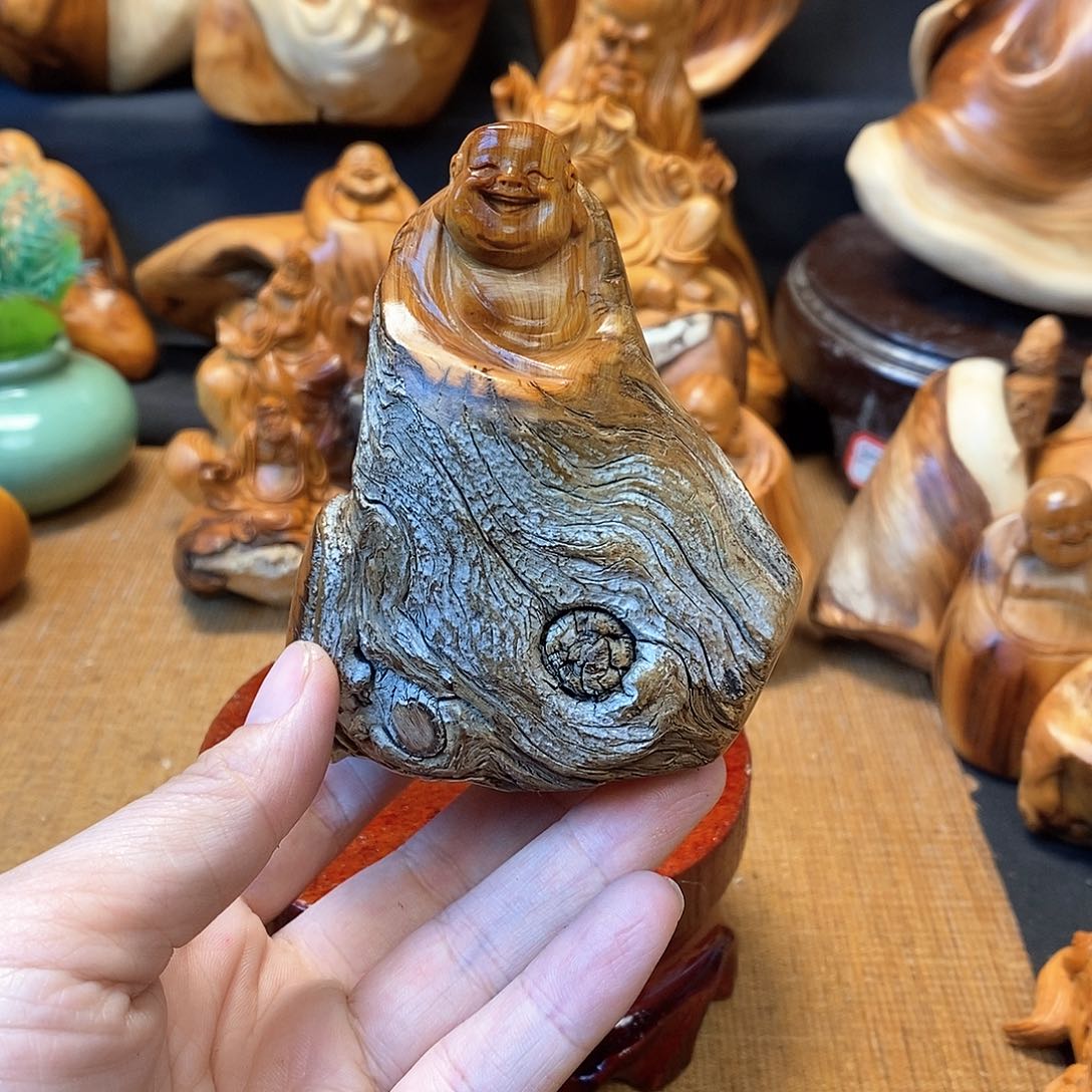 柏木（崖柏）一物一图