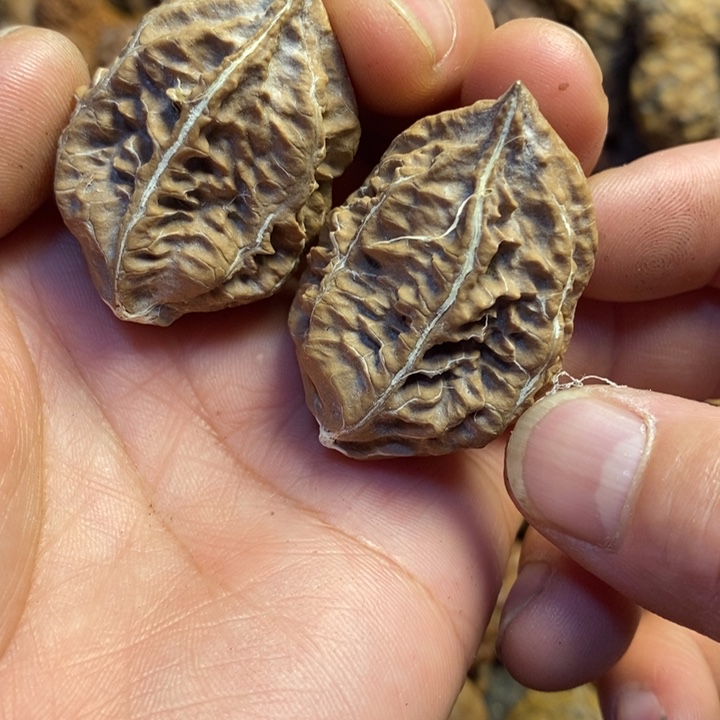 吊坠桃核东北特产120