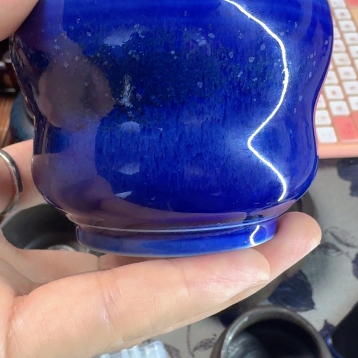 熠羽毛球的杯杯啊