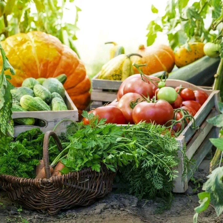 不加冰湘西赶集时令水果蔬菜