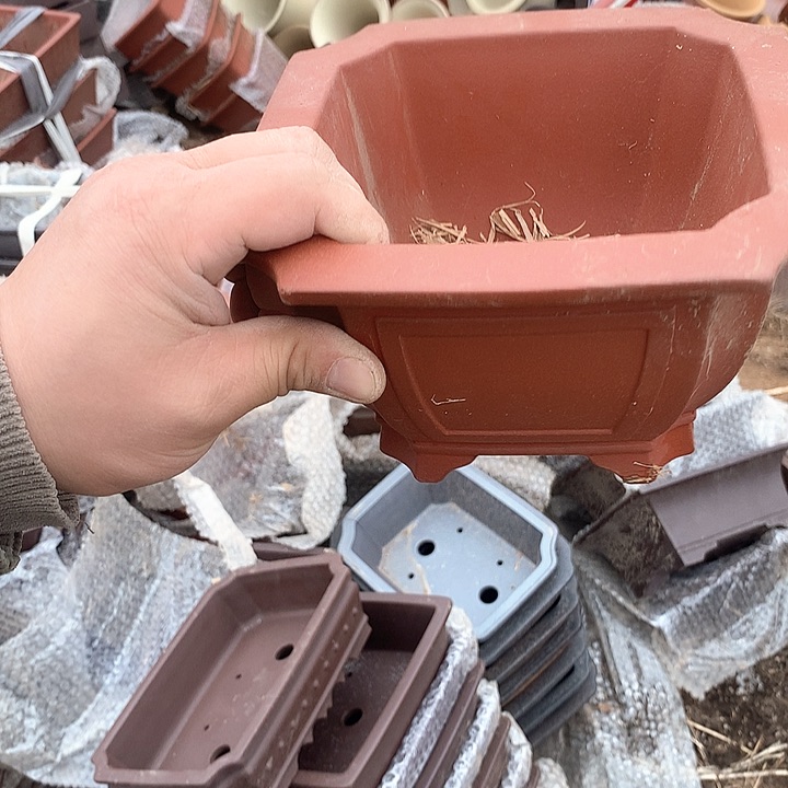 紫砂哈哈真的是太给力太火爆了不是吗