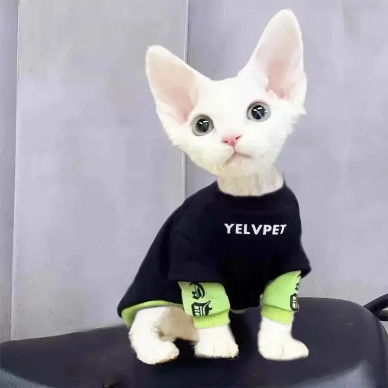 Z德国卷毛德文猫衣服保暖潮牌幼猫薄款秋季冬天公猫黑色秋装