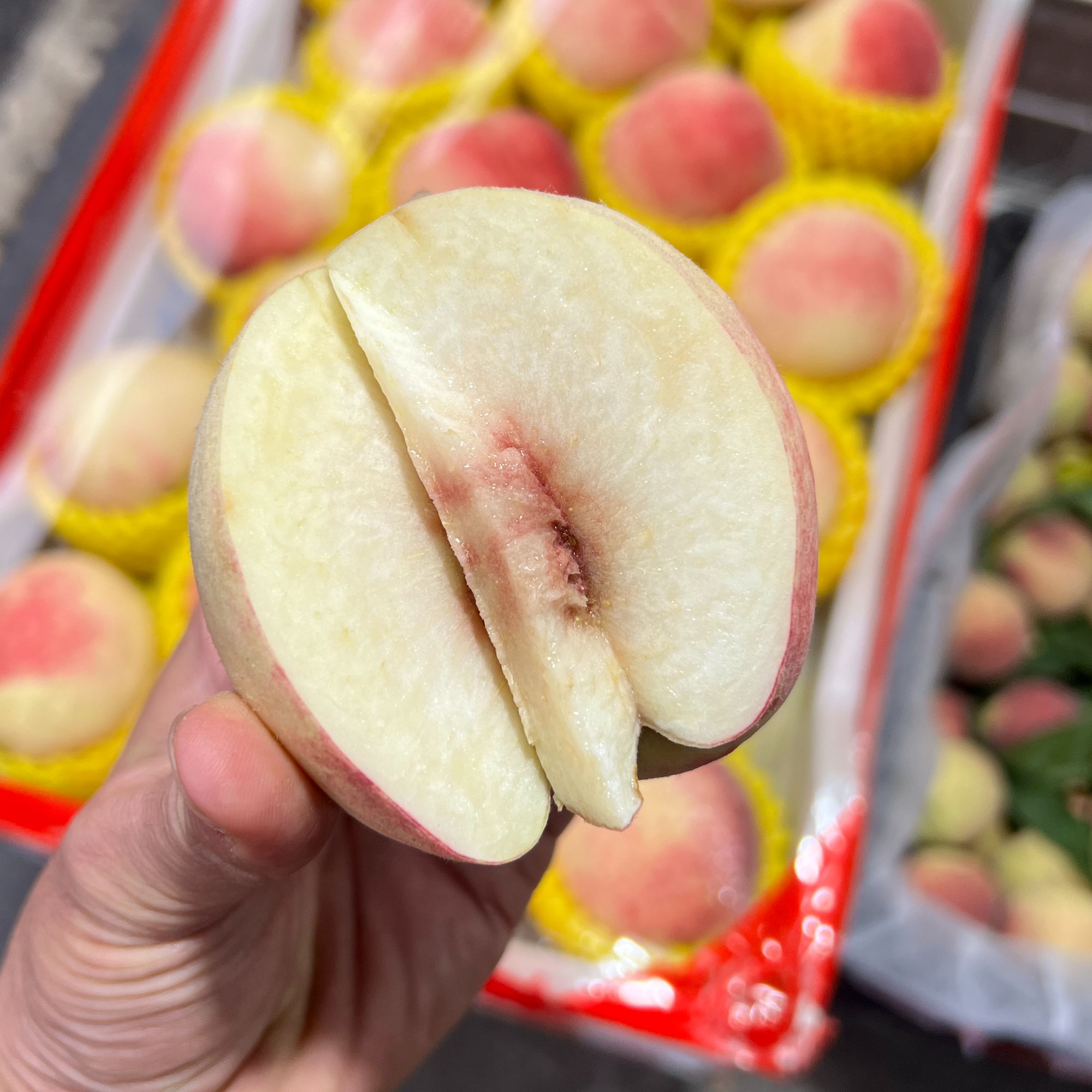 山东金秋脆蜜桃新鲜现摘脆甜多汁当季新鲜水果只发川渝