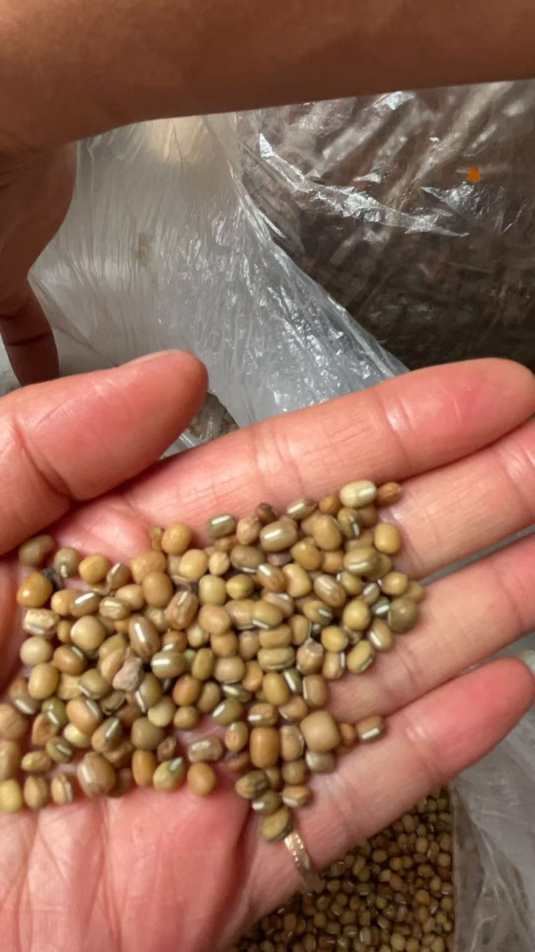 贵州农家小米豆。